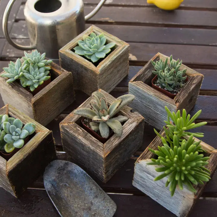 Mini Reclaimed Wood square planters for planting or decoration.