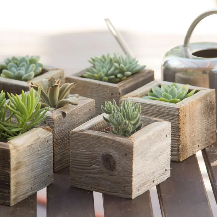 Mini Reclaimed Wood square planters for planting or decoration.